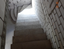 DSCN0979